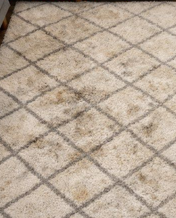 Tapis salon avant nettoyage